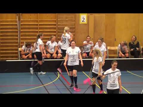18/2-18 Damer Div.1 VGR Kärra  - Lindås (2-6) Per3b