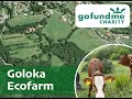 Goloka Ecofarm The Happy Cows Project In Italy