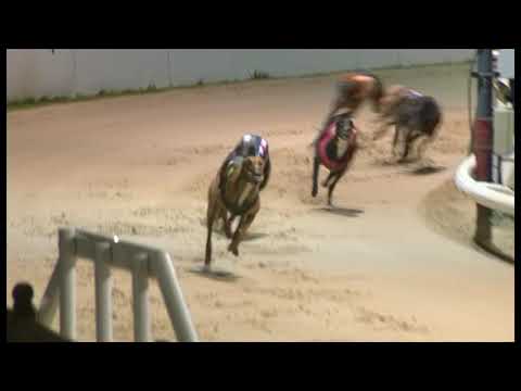 Sparta Master - Coronation Cup Heat 5