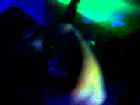 Butanda Boss en vivo (Noche de Locura)★★Reggaeton Mexicano★★.3gp