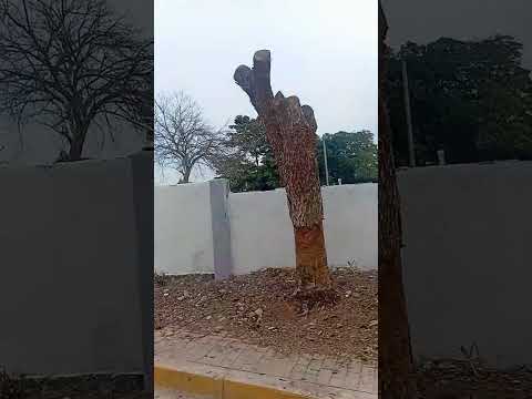 Recorriendo Higueretal bolivar corregimiento de sancristobal bolivar ruedalo mi gente 