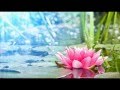 Медитация любви и мира (Meditation for love and peace) 