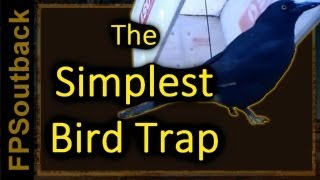 The Simplest Bird Trap