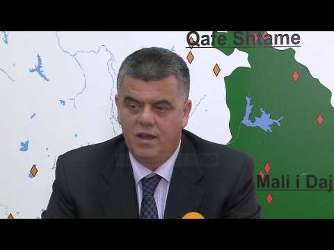 Dëmtimi i pyjeve, Koka: Të hiqet TVSH-ja për importin - Top Channel Albania - News - Lajme