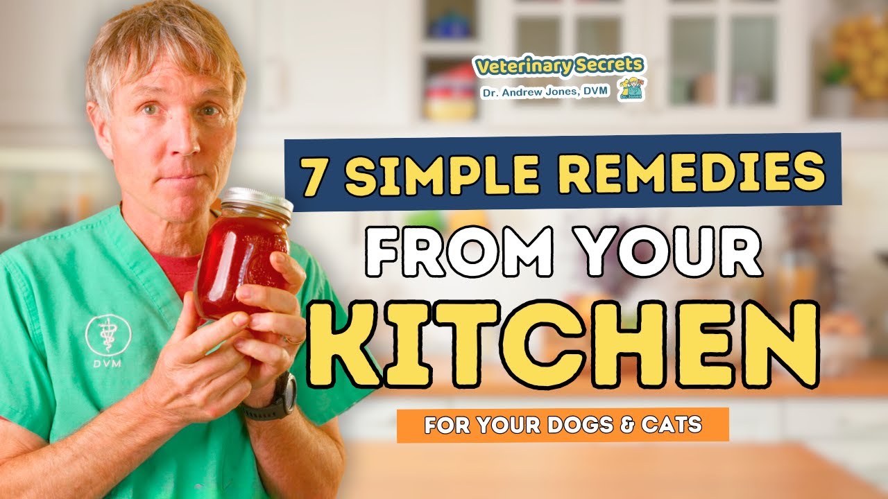7 Kitchen Remedies to Help Your Dog and Cats