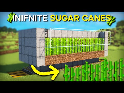 Minecraft's EASY Sugar Cane Farm 1.19 - Java & Bedrock