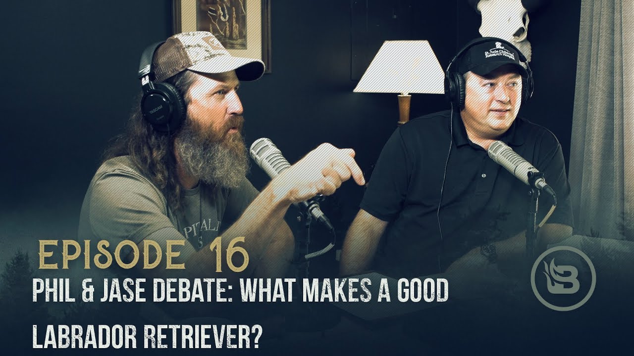 Ep 16 | Phil & Jase Debate: What Makes a Good Labrador Retriever?