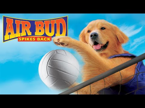 AIR BUD: SPIKES BACK Movie - Español Latino
