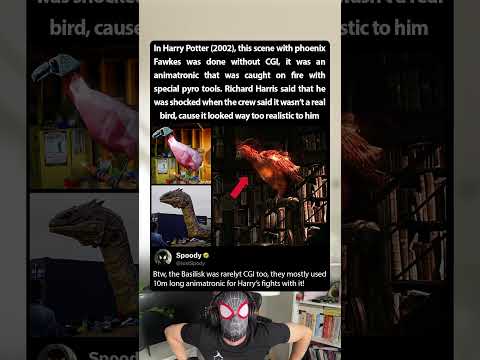 During the filming of Harry Potter (2002), phoenix Fawkes was real