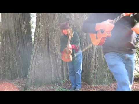 Ukuleles in the Trees