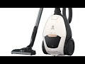Electrolux Pure D8 2 Baged Vacuum Quick Look