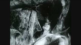 Frank Zappa&#39;s Cheepnis - A Monster Movie Montage (Short Version)