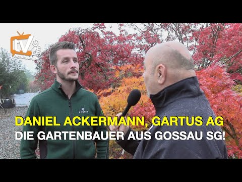 Gartus AG Gartenbau, Geschäftsführer Daniel Ackermann, im Handwerker-Talk | handwerker.ch, Folge 119