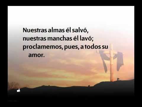 569 ID Y PREDICAD EL EVANGELIO