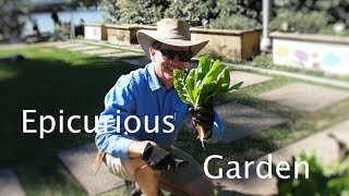 Epicurious Garden - Brisbane