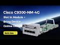 Cisco 9300 Network Module Setup C9300 NM 4G Cisco Module Switch Networking Test Fyp