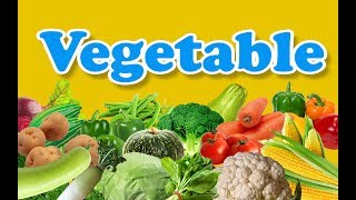 Vegetable Names with Pictures  Different Types Of 