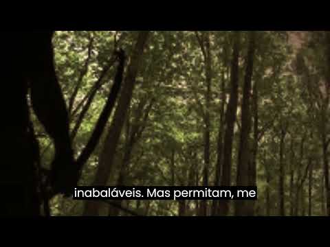 Orixa Oxossi Adverte: A Queda dos Orgulhosos e a Lição da Humildade #oxóssi Rei de Ketu