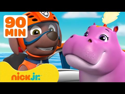 Patrulha Canina: Resgates aquáticos do Zuma! 🦛 90 minutos de ação | Nick Jr.