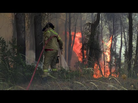 Video Thumbnail: Greek firefighters battle wildfire | AFP