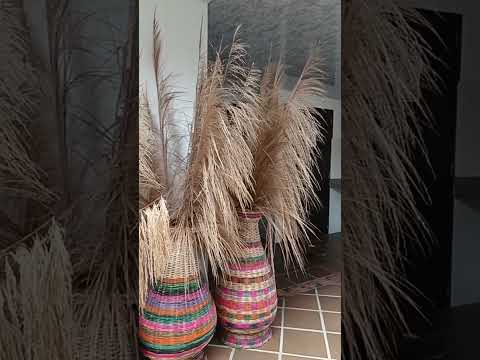 En el marco de la conmemoración de los 477 años de nuestro municipio de Pamplonita