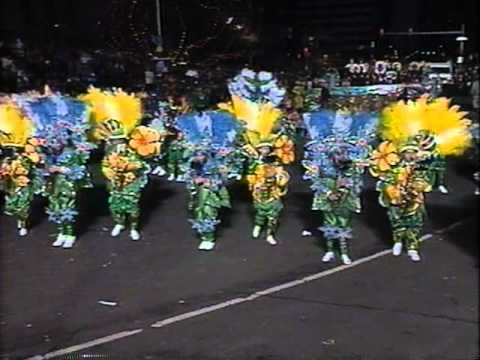 Duffy String Band 1996 - Rythym and Blooms