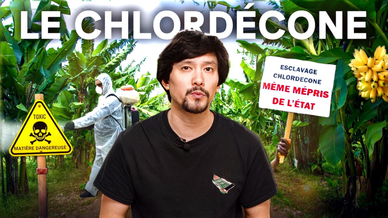 Les Répercussions Dévastatrices du Chlordécone - Racisme environnemental EP.1