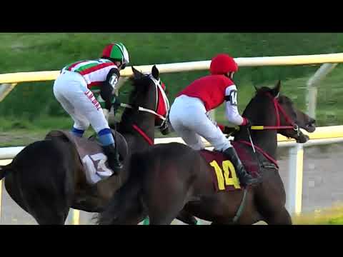 201102 c10 - VIN AROMPERLA - HIPODROMO LAS PIEDRAS