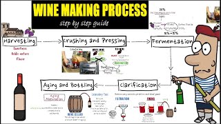 Wine making process step by step /Detail guide of wine making/preparation and making of wine