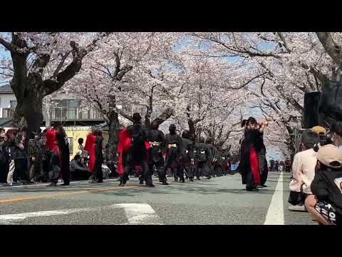 花鳥風天　20220410AM