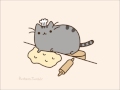 Baker cat ;3 