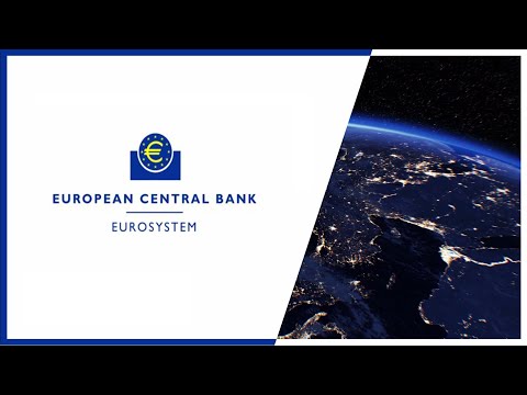 ECB Financial Stability Review – May 2020
