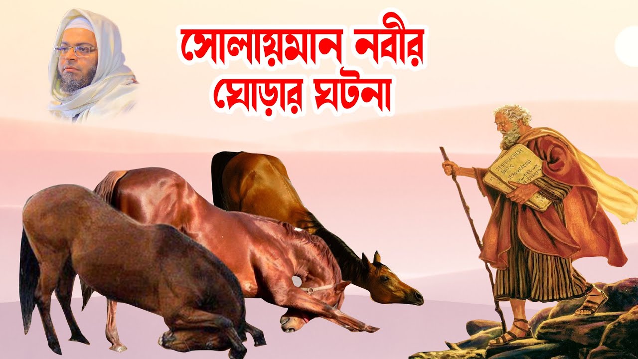 Mufti Nasir Uddin Ansari । মুফতি নাসির উদ্দিন । bd waz - সোলায়মান নবীর ঘোড়ার ঘটনা - -ansari waz