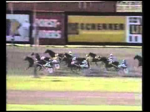 Åby Stora Pris 1988 -Ourasi (Adieu Champion 12-01-2013)