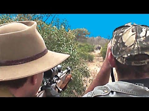 Fieldsports Britain – From rabbits to Cape buffalo, episode 68 Fieldsports Britain – From rabbits to Cape buffalo, episode 68