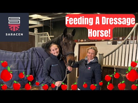 Feeding A Dressage Horse | With Saracen