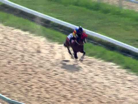 2013-11-12 Bleeder's Test