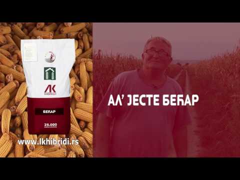 LK HIBRIDI: Bećar + Bećar = Stevan Nikšić