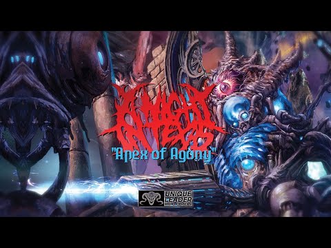 A Night in Texas - Apex of Agony (Official Video)