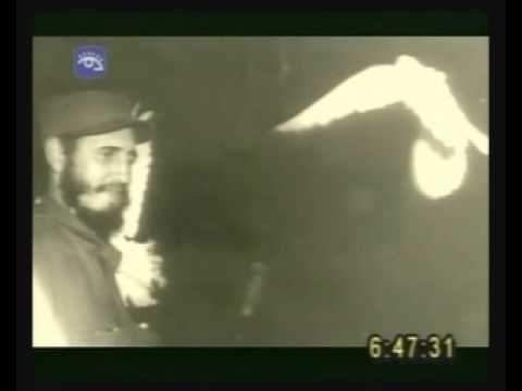 download lagu mp3 mp4 Fidel Paloma Blanca, download lagu Fidel Paloma Blanca gratis, unduh video klip Fidel Paloma Blanca