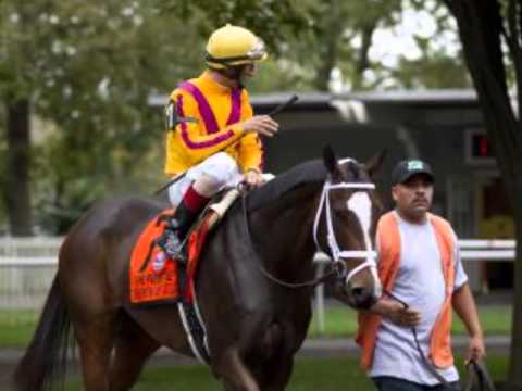 Dreaming of Julia Tribute