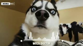 Cartoons - Witch Doctor (Radio mix) | Tik Tok Music