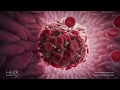 Blood Clot Formation