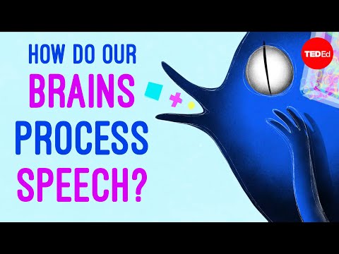 איך המוח מפרש נכון מילים?