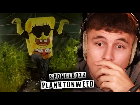 😱🔥WAS EIN BRUTALER SONG!!!...Reaktion : SpongeBOZZ - Planktonweed (Official Video) | PtrckTV