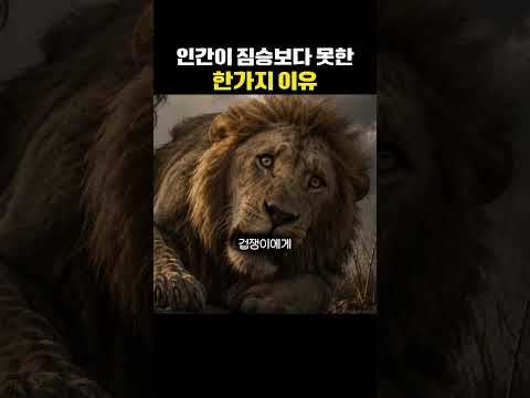 인간이 짐승보다 못한 한 가지 이유