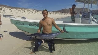 preview picture of video 'MAKO Spearguns: How To Fillet a Wahoo'