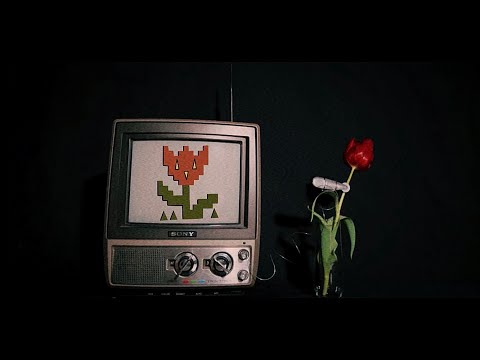 Madilyn Mei - Garden Jargon (Official Music Video)