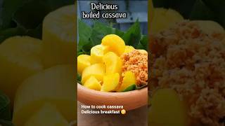 Download lagu Singkong rebus yang lezat | Singkong mp3