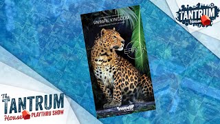 Earth video thumbnail